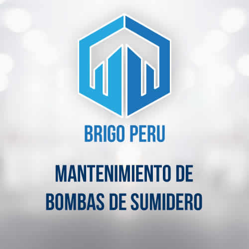 BRIGO PERU | MANTENIMIENTO DE BOMBAS DE SUMIDERO